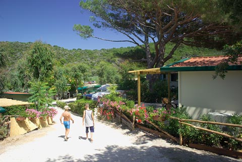 Camping Acquaviva, Elba