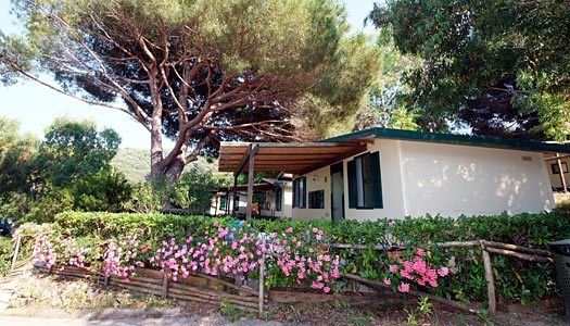 Cottages on Elba